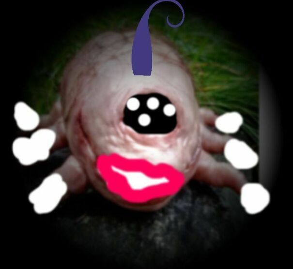 I Don't Know What I Did