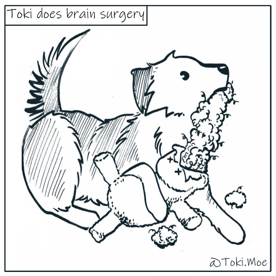 My 27 More Comics And 2 New Animations That Show What It’s Like To Live With A Cat And A Dog