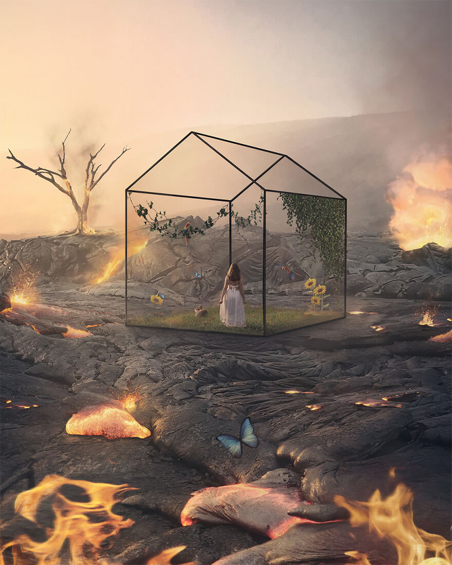 Growth Within Destruction