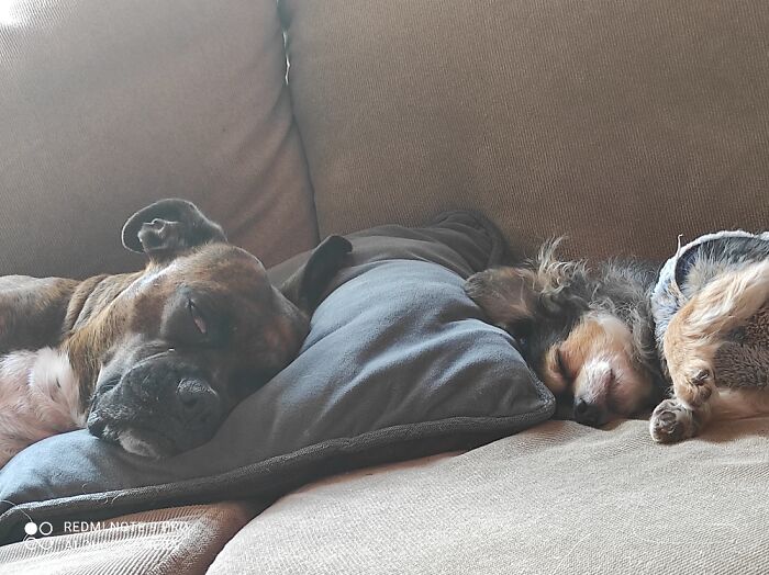 Big And Small, Happy Together ❤️