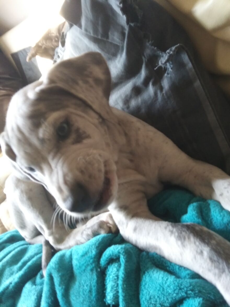 This Little One After I Told Her That She Had To Eat Her Vegetables.....:photo Creds Go To:meee