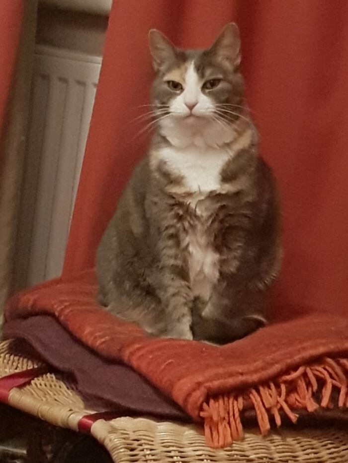 Sally Sausage. On Her Own Stool.