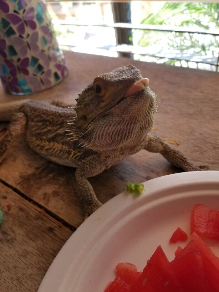 El Chapo Having Lunch