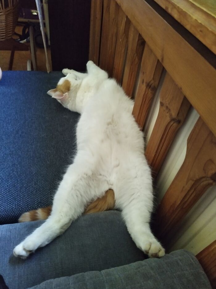 Trinity...scared Of Everything, But We Still Love Him