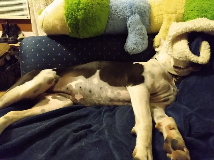 Mom....turn....the Light...off Already