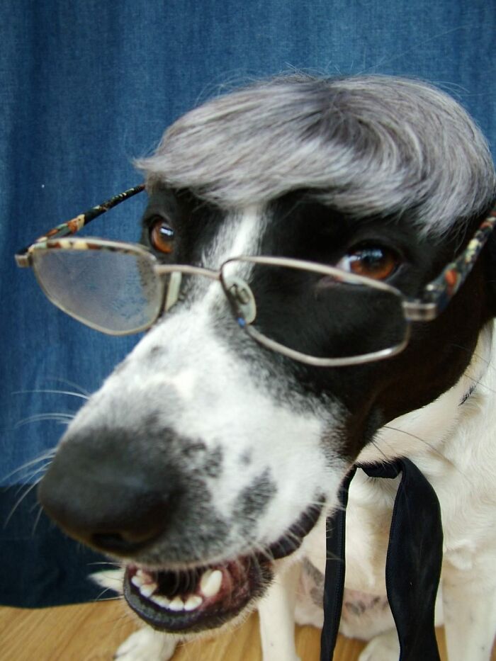 Now Settles Down Fors Our Zoom Lessons In Being 'Gud Boys And Girls'.