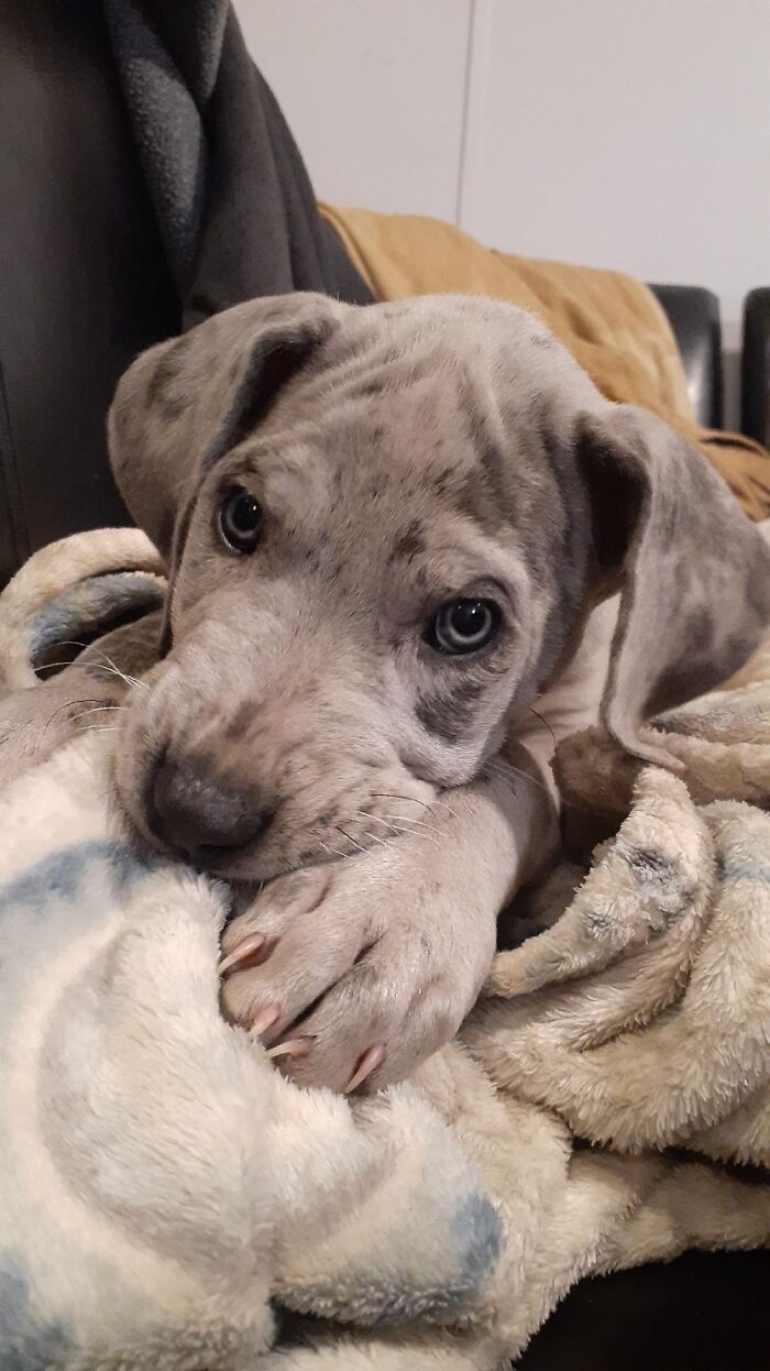 El Is Back For A 2nd Time To Spread Some More Love On Bp... Hope U Enjoy My Cutie Pie Love Bug