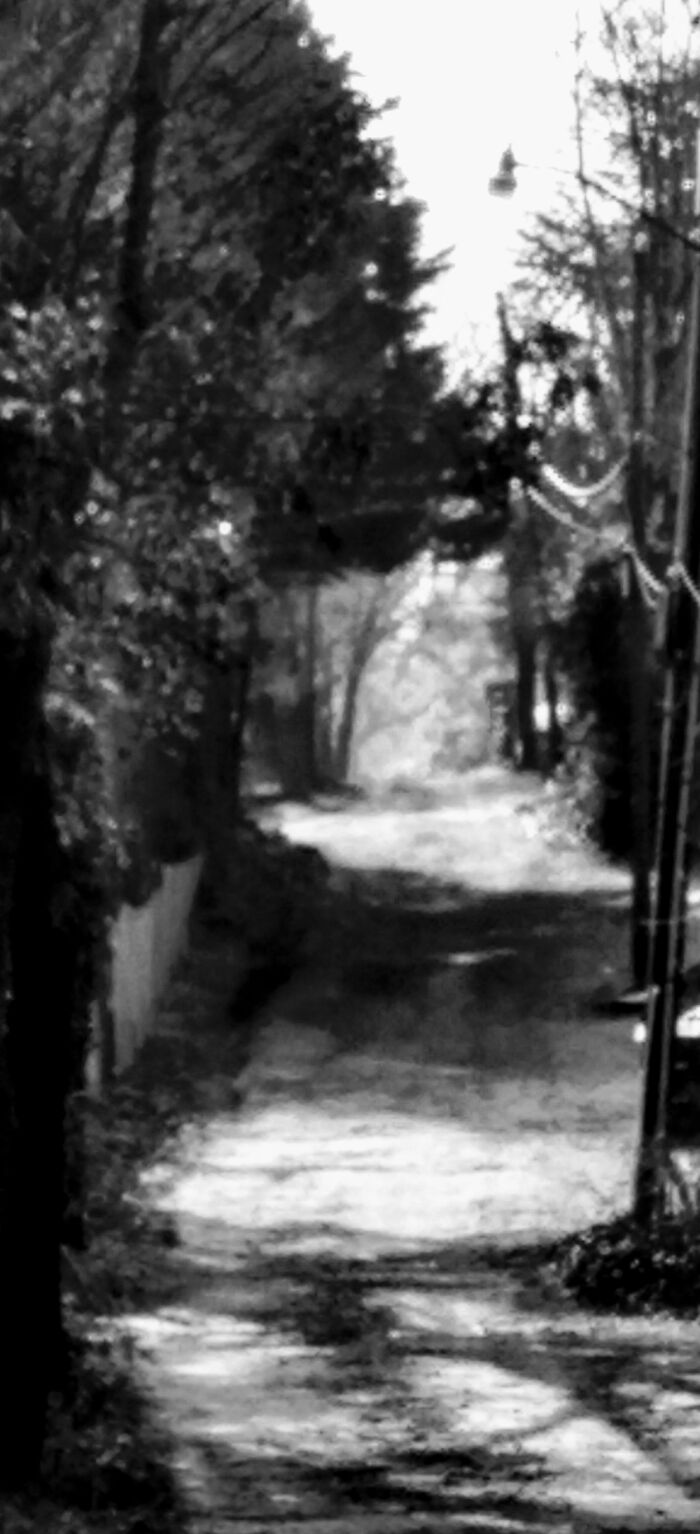Service Alley Behind My House Taken In Black And White