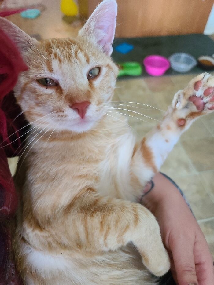 My Sweet Little Doodlebug. Hes A Pure Angel.