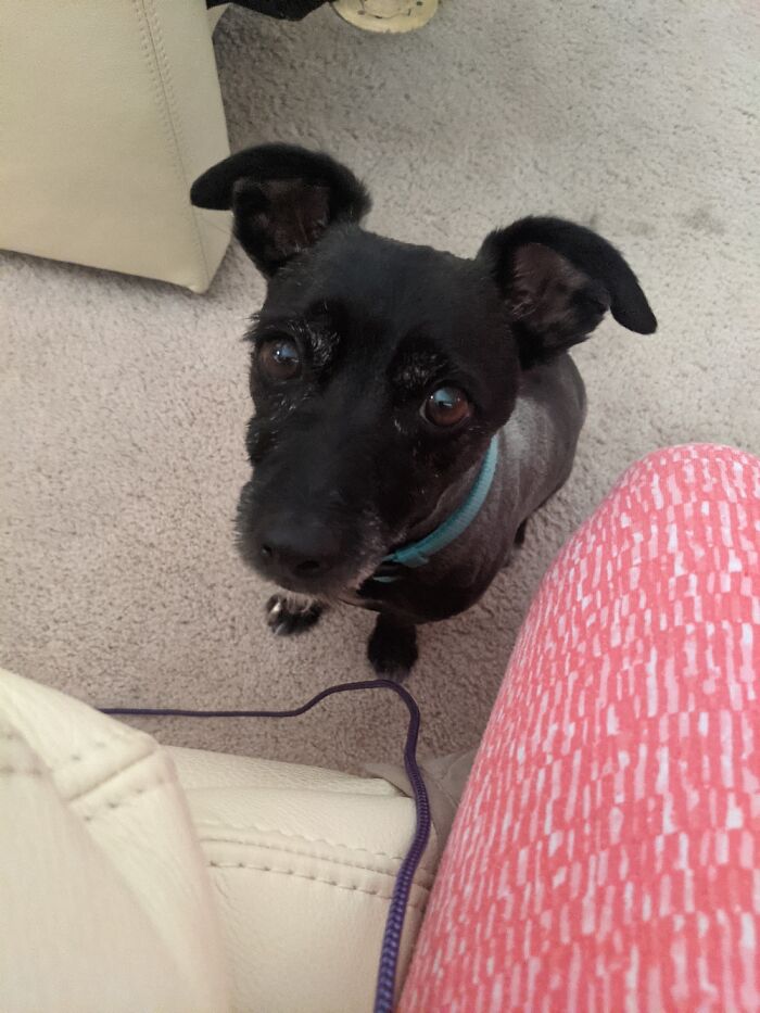 My Middle Aged Boy! He Will Be 8 In July