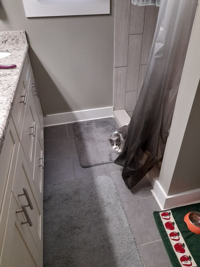 Mona Likes Hanging Out In My Bathroom With Me