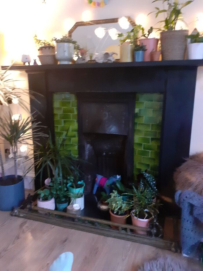 I Cant Show Just One