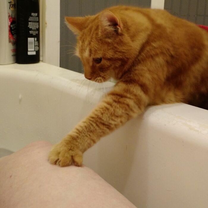 You Missed A Spot...