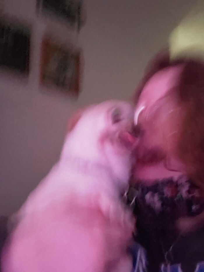 I Have No Memory Of Taking This Picture