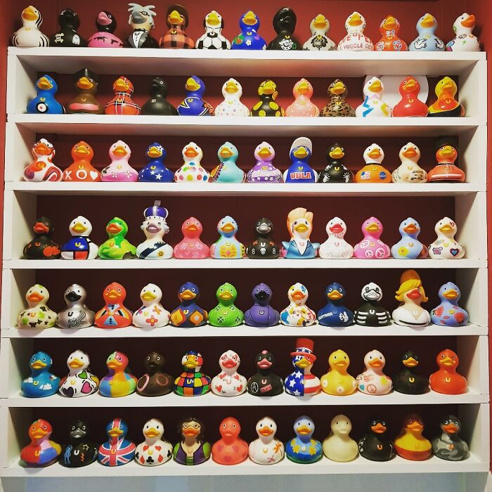 Rubber Ducks From Bud, All On Display In My Toilet