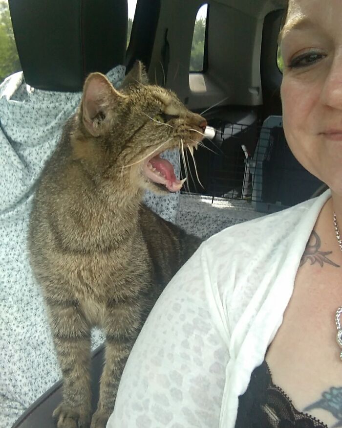 Escapes Carrier And Takes Backseat Driving To The Center Console