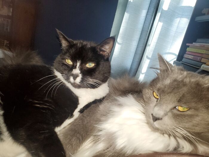 Max And Myschka. Brother And Sister