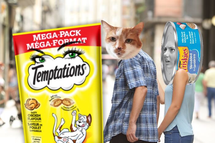 Cat Owners Will Understand.