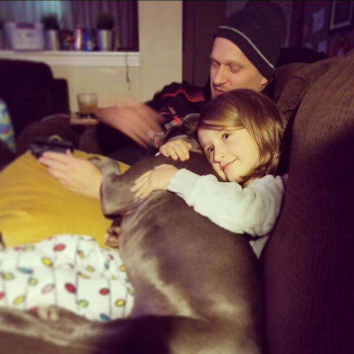 The Nightly Scene After Bringing Our First Rescue Home.