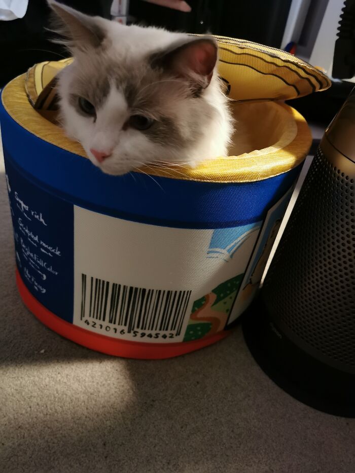 Inside His Favorite Ziwi Can