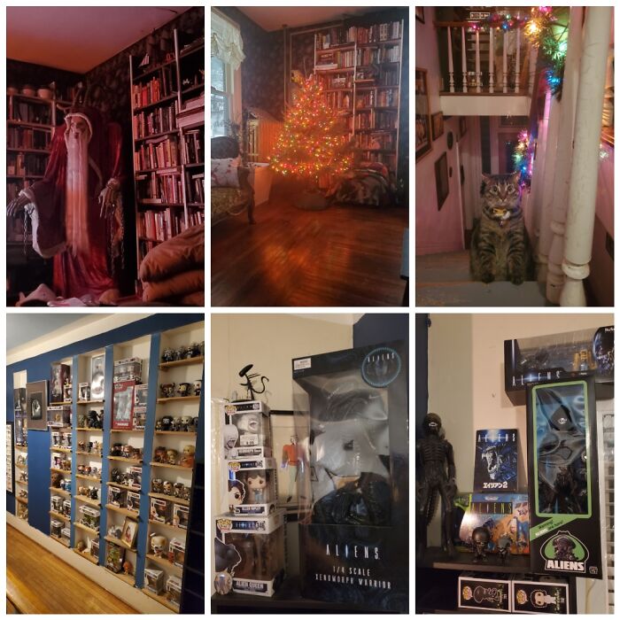 Books, Horror Stuff, Cats, And Alien! This Is Only A Pinch Of My Collection