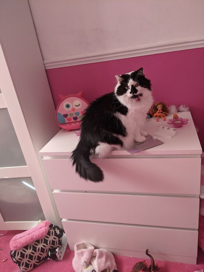 My Gorgeous Nineish Year Old On My Bedroom Draws!