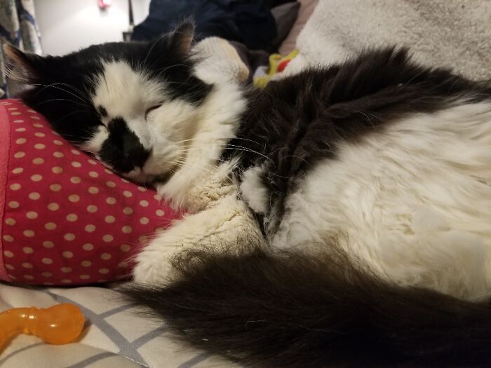 My Old Man!! He's Gonna Be 18 On May 5th!!