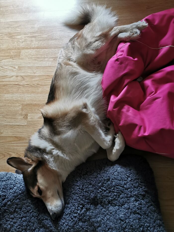 That's How You Use Your Bed, As A Pillow