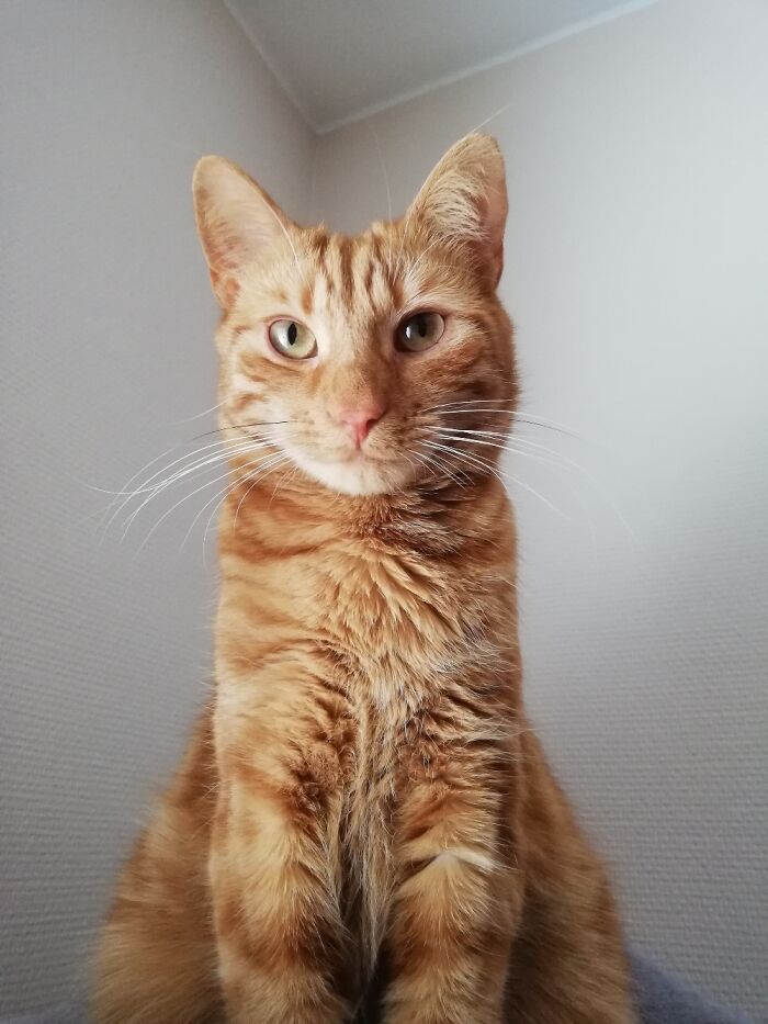 Frasse 1,5 Year Old.