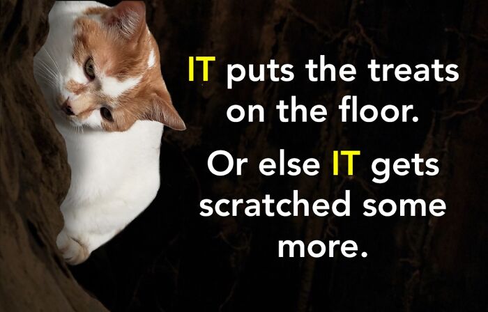 Chicken Nibblets And A Nice Chianti.