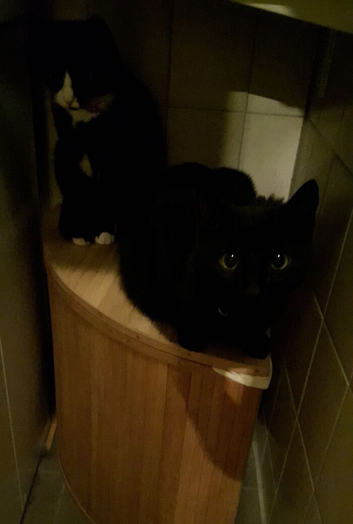 The Void Has Big Eyes