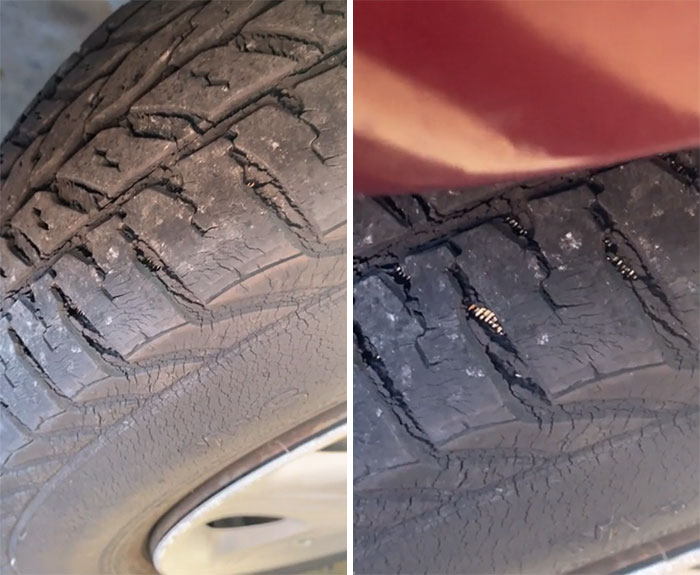 Customer Said The Tire Still Had Plenty Of Meat On Them