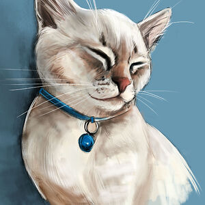 charlottepatton avatar