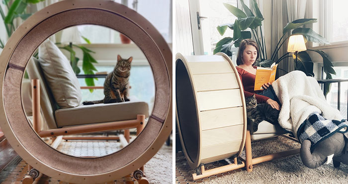 A Chair With An Integrated Running Wheel Was Invented For Cat Lovers
