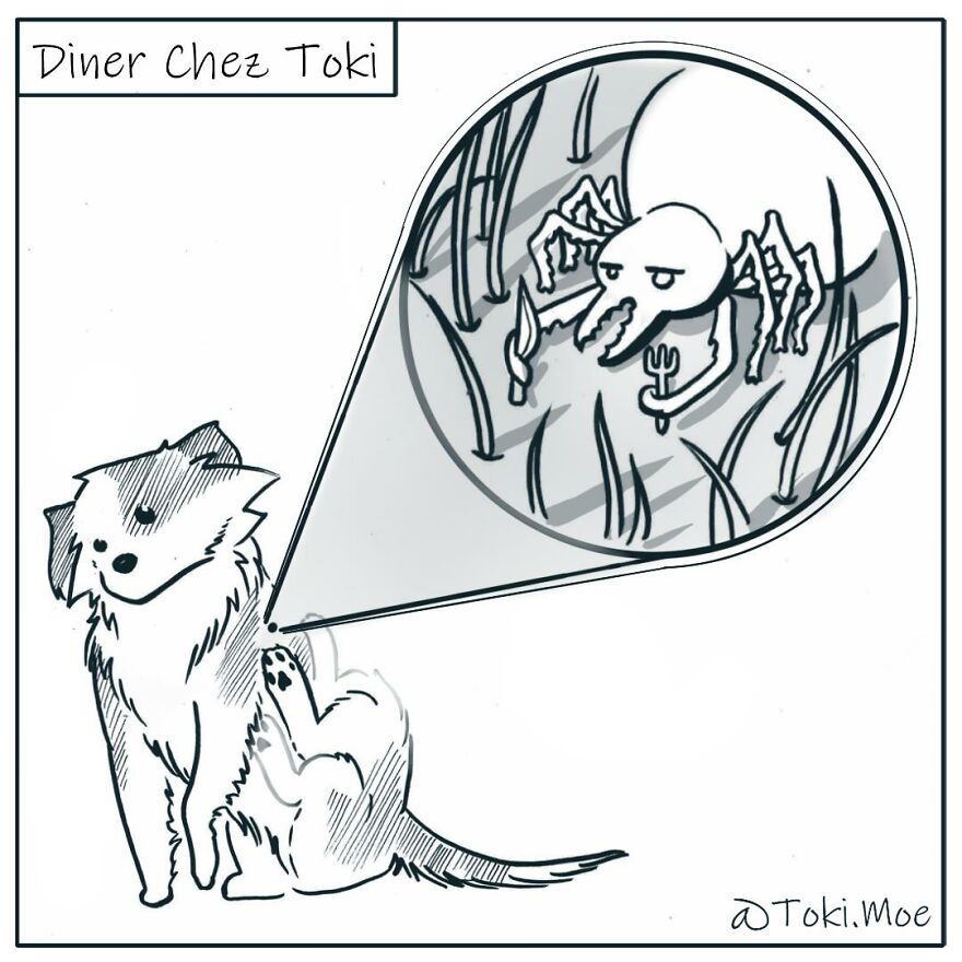 My 27 More Comics And 2 New Animations That Show What It’s Like To Live With A Cat And A Dog