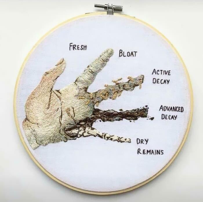 This Isnt From A School Its Stages Of Flesh Rotting