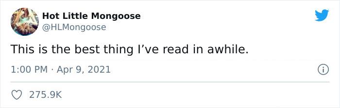 Adoption Post Honestly Lists Everything That's Wrong With This Demonic Chihuahua And It Goes Viral