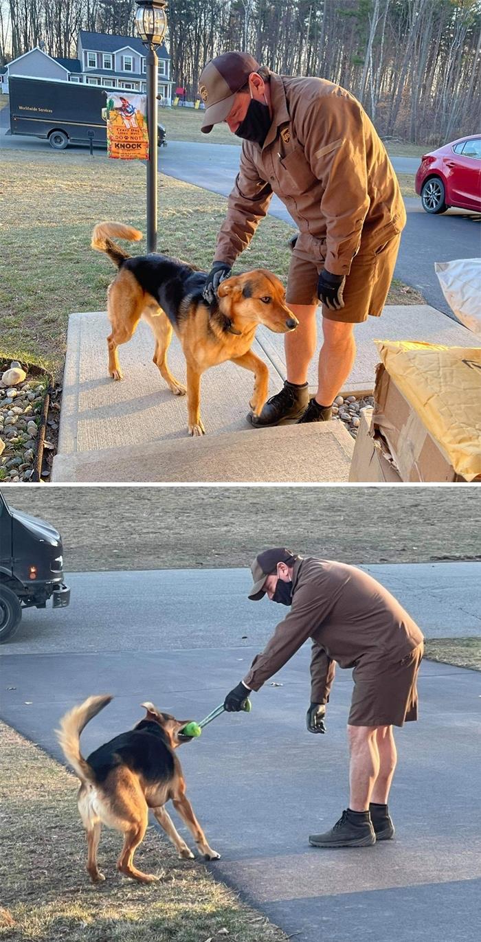 UPS-Delivery-Driver-Meets-Dogs