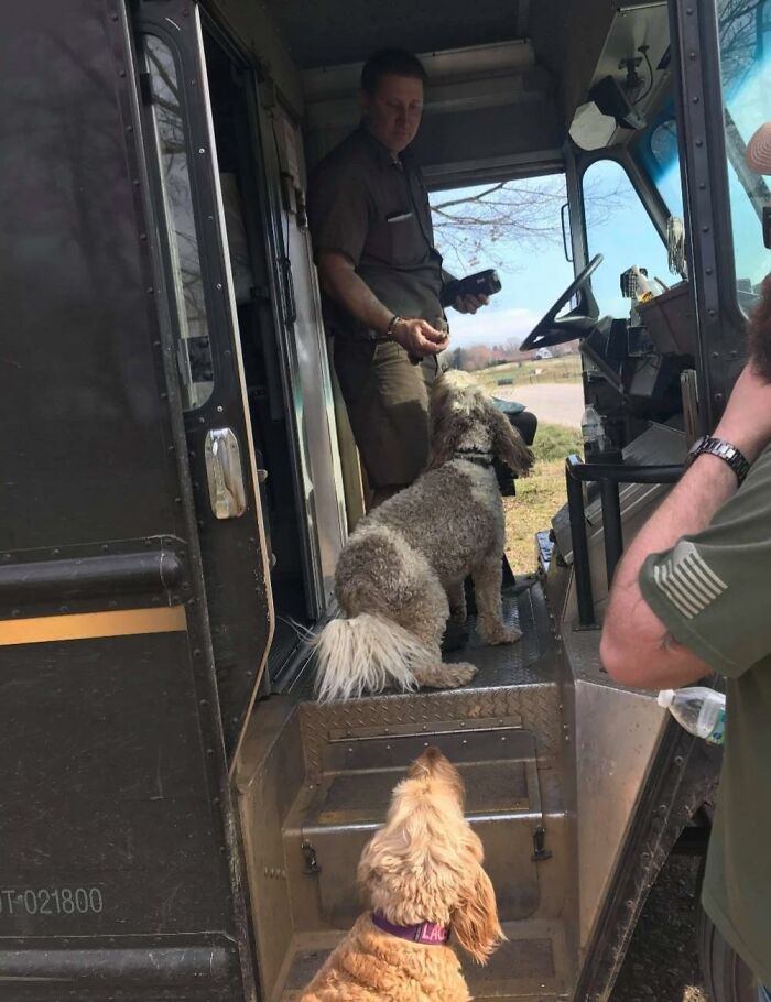 UPS-Delivery-Driver-Meets-Dogs