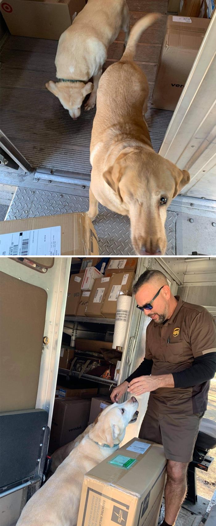 UPS-Delivery-Driver-Meets-Dogs