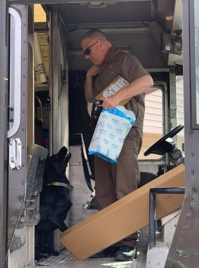 UPS-Delivery-Driver-Meets-Dogs