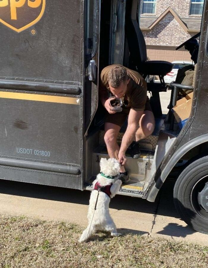 UPS-Delivery-Driver-Meets-Dogs