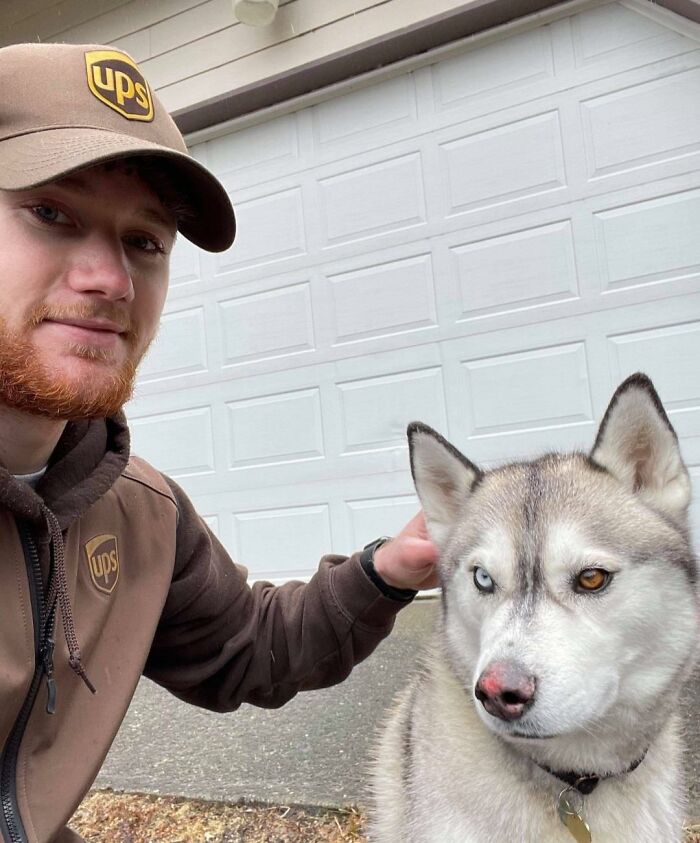 UPS-Delivery-Driver-Meets-Dogs