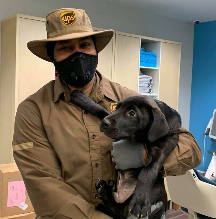 UPS-Delivery-Driver-Meets-Dogs