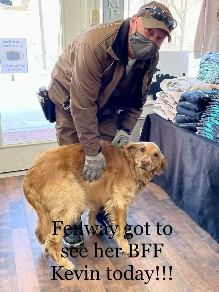 UPS-Delivery-Driver-Meets-Dogs