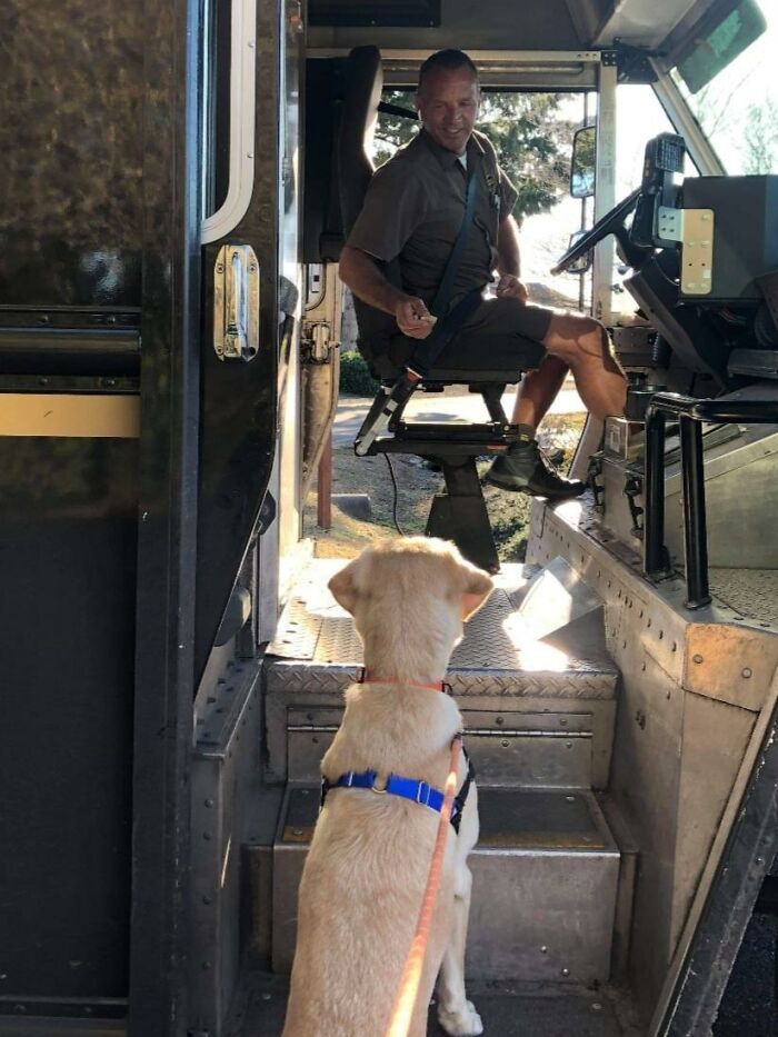 UPS-Delivery-Driver-Meets-Dogs