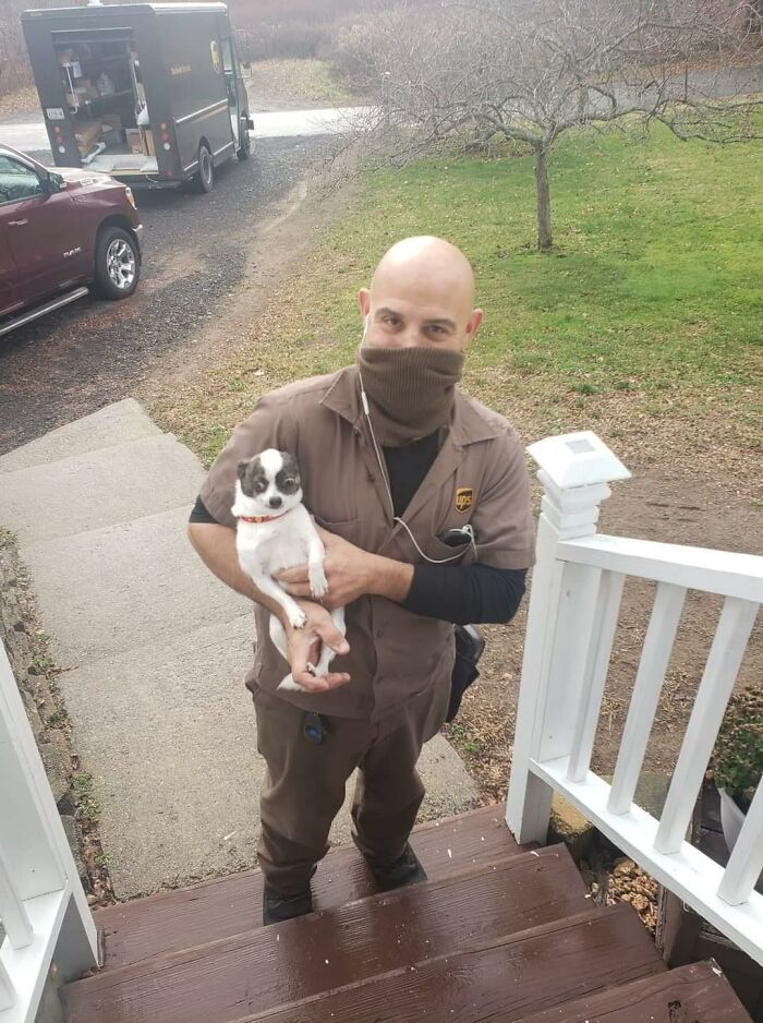 UPS-Delivery-Driver-Meets-Dogs