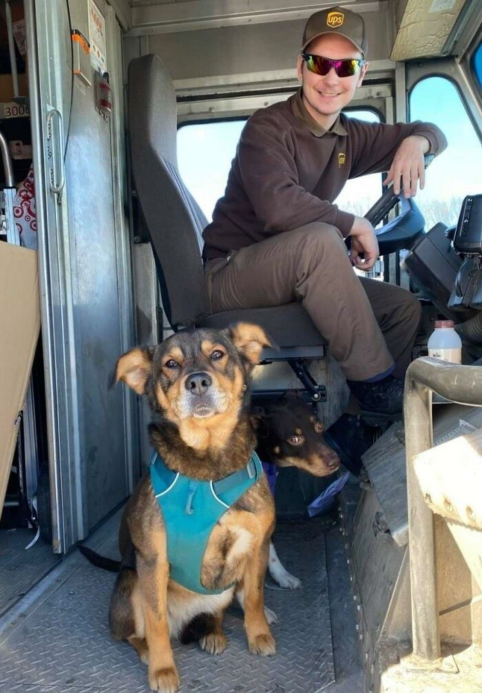 UPS-Delivery-Driver-Meets-Dogs