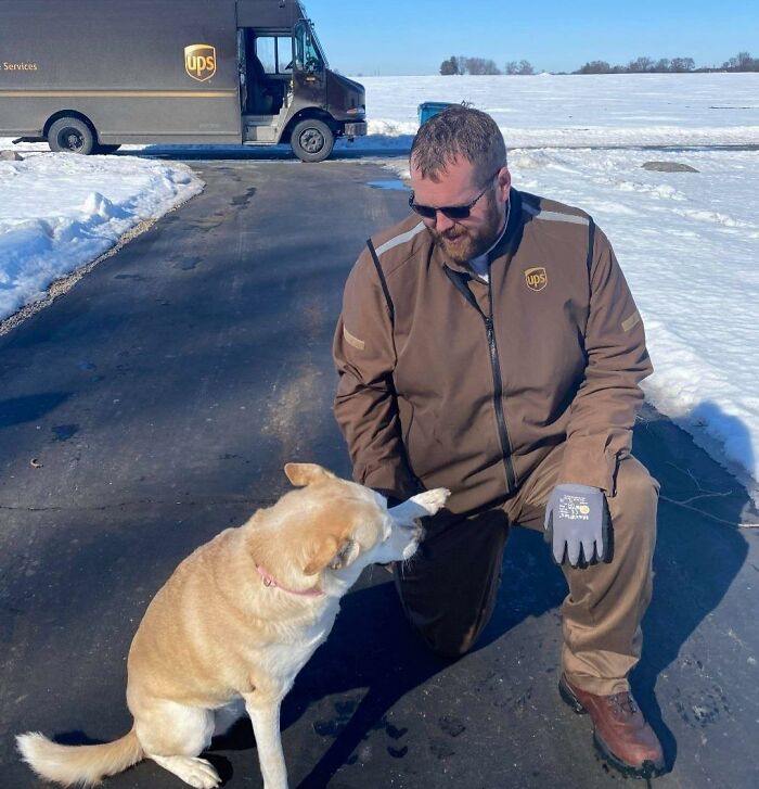 UPS-Delivery-Driver-Meets-Dogs
