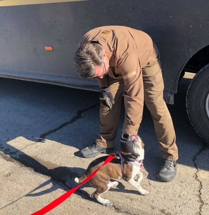 UPS-Delivery-Driver-Meets-Dogs